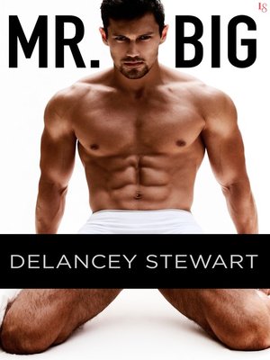 cover image of Mr. Big